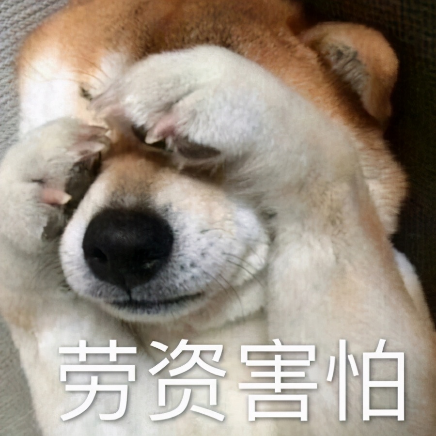 废物你除了睡觉还会干啥的表情包,混吃混喝做个快乐的废物表情包