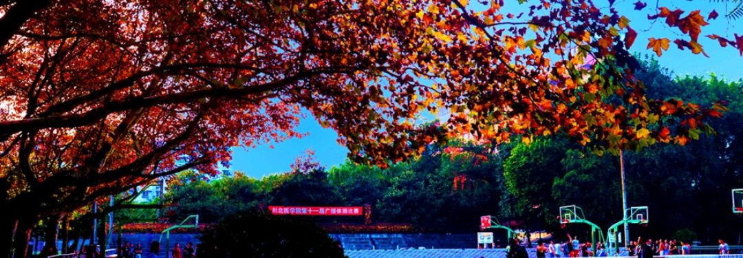 教育部发布高校命名最新规范,最新高校更名消息