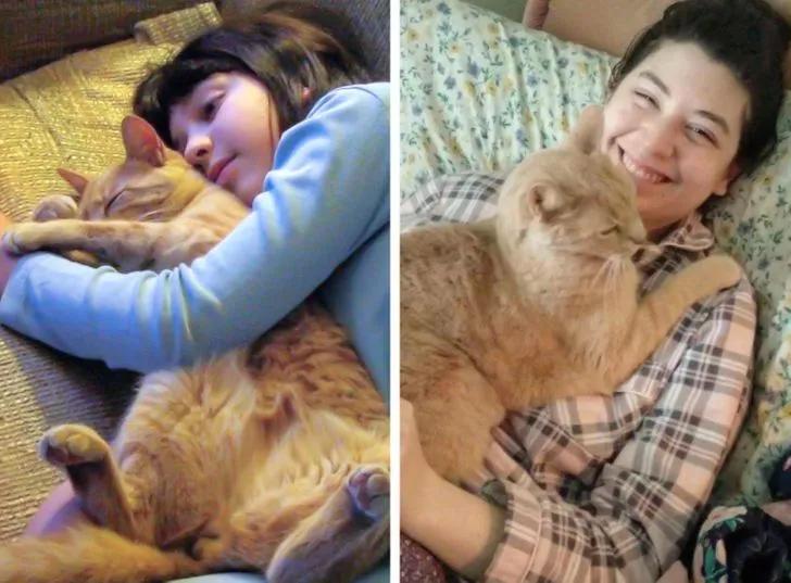 珍贵照片猫咪,猫咪和主人令人惊艳的合照