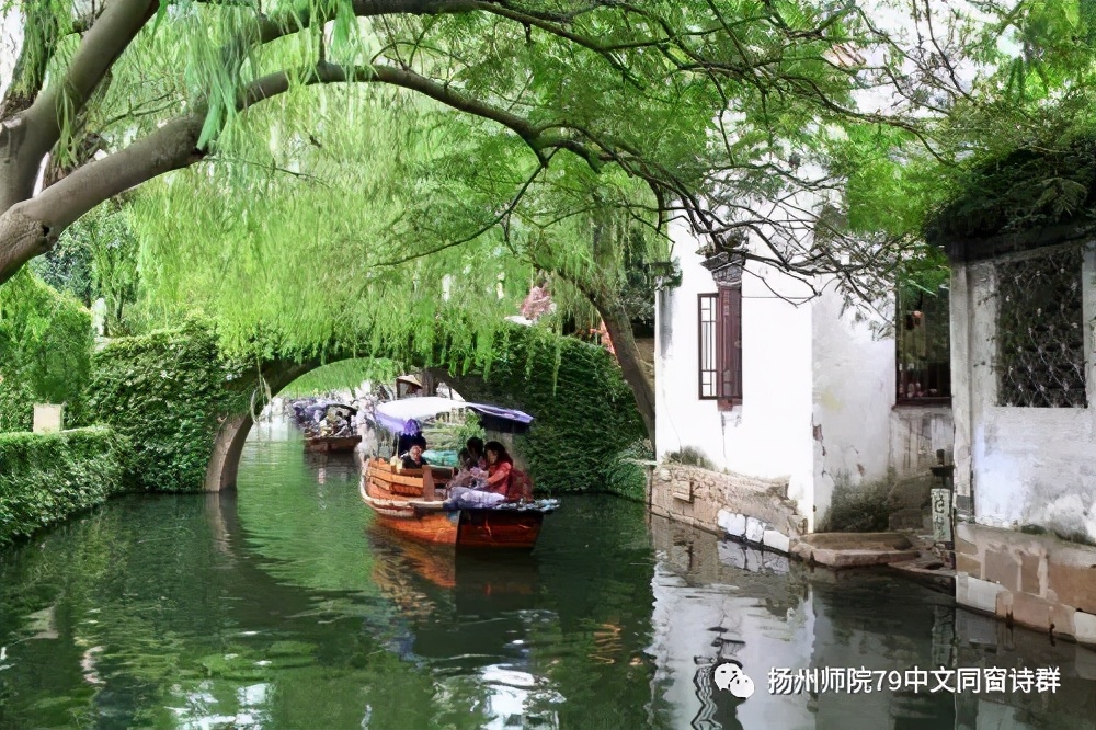 【老师去了,我每年来摩挲老师家的杨柳】