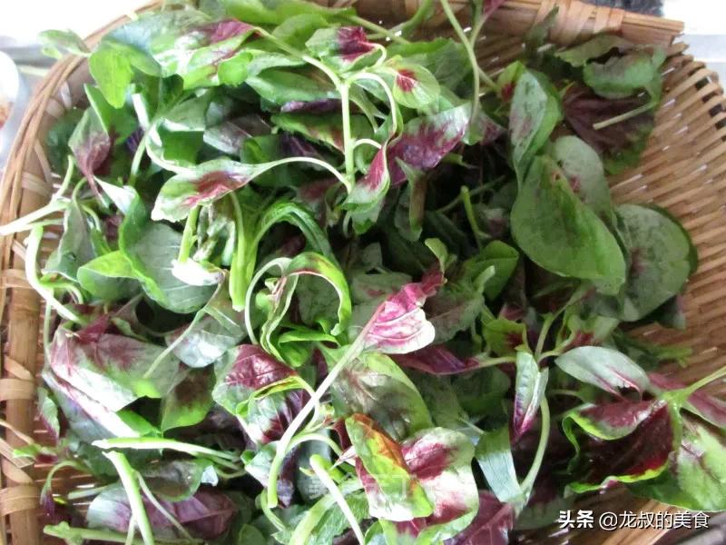苋菜减肥美白,夏季常吃苋菜能减肥