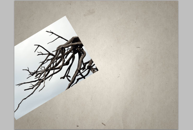 ps如何换花朵教程图解,ps怎么画枯萎的玫瑰