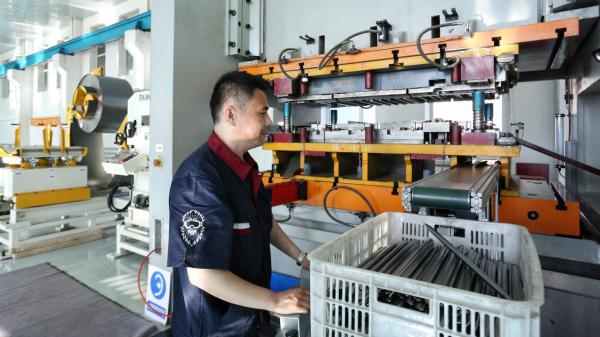 凤凰涅磐黑檀木,凤凰涅磐破茧重生