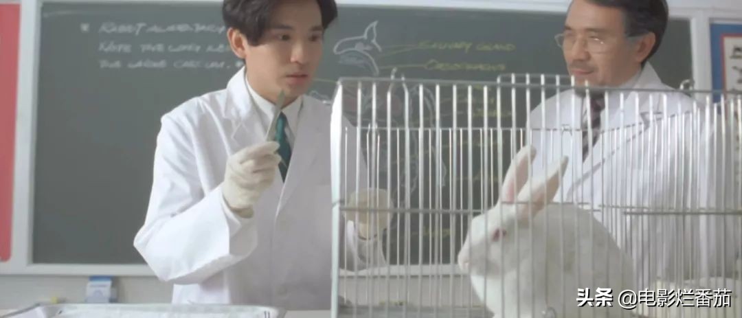 beyond电影莫欺少年穷王菲,王菲出演过这五部经典电影