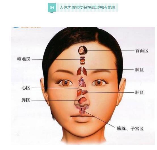 衡水正元中医医院卫生科普:内脏里缺啥,脸上就长啥