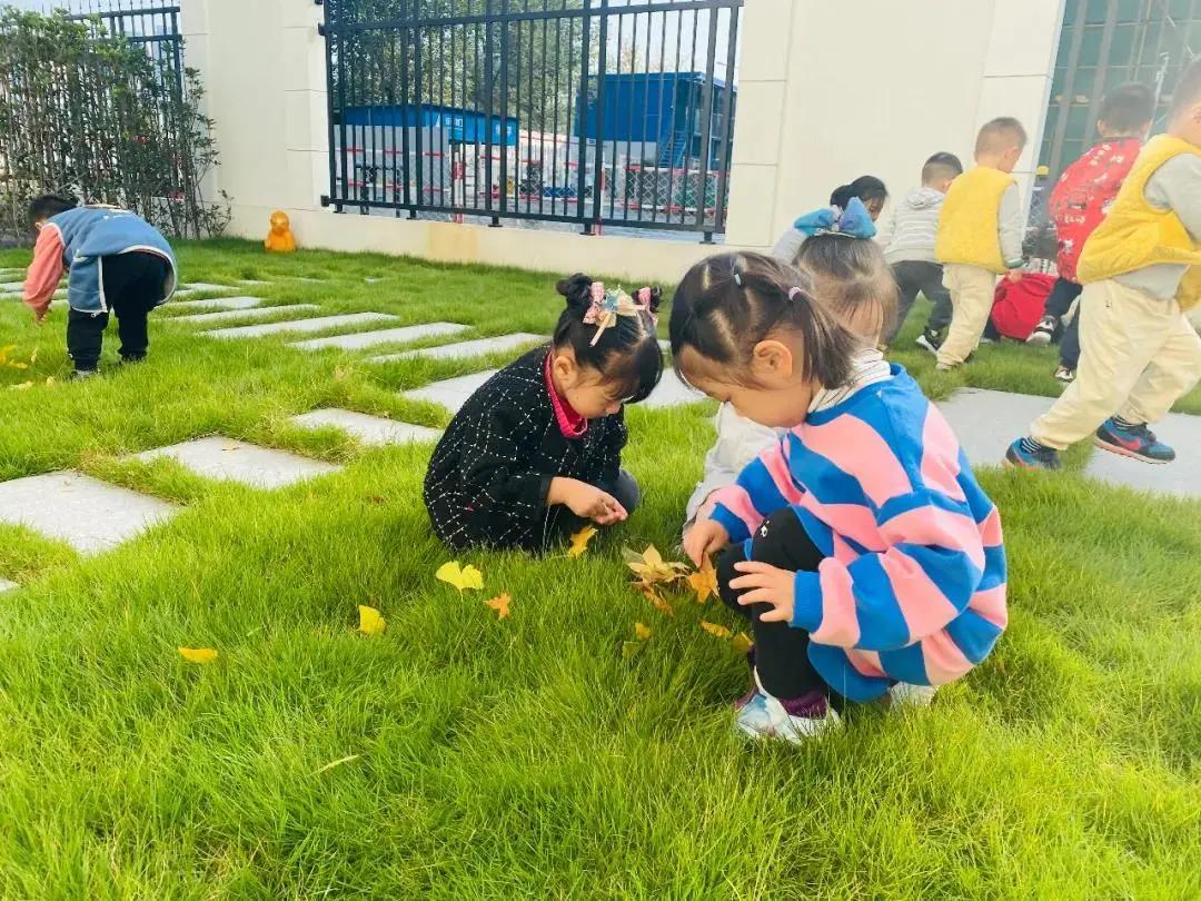 金苹果普惠园值得买吗,金苹果幼儿园普惠班