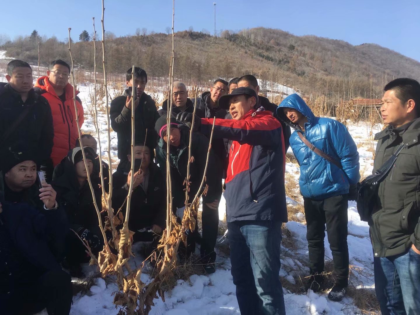 “会站家”一体化促进新经济组织和谐发展