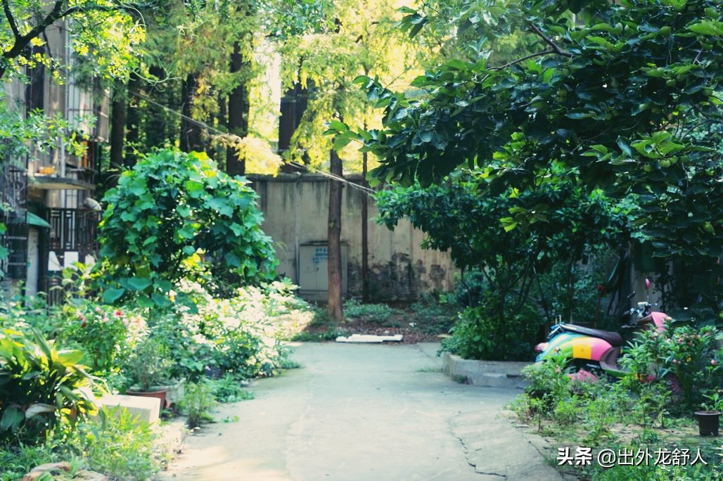 合肥成熟的商业街 (合肥比较成熟的商业街)