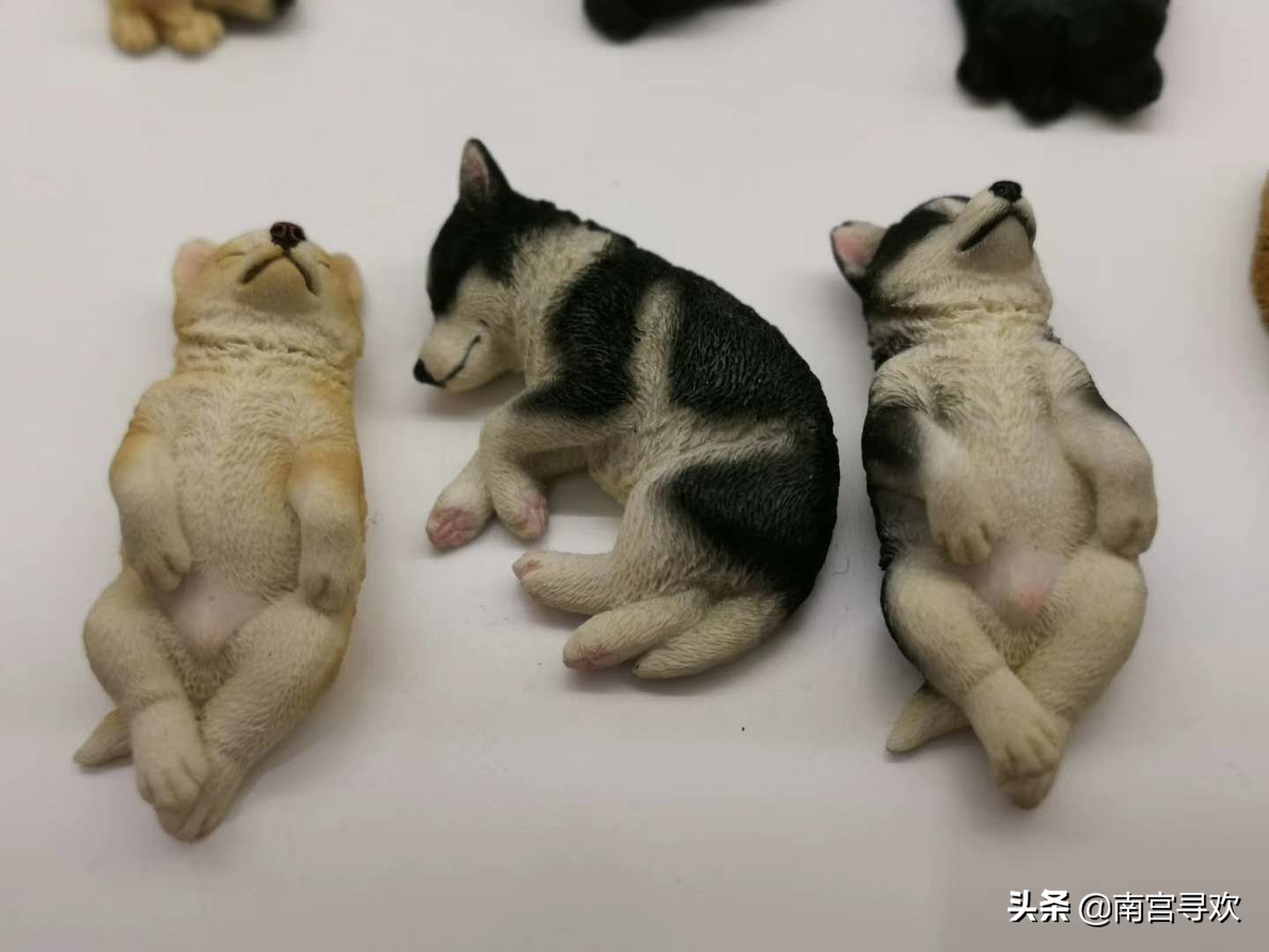 2020全新搞笑语录：愿得一人心，免得老相亲