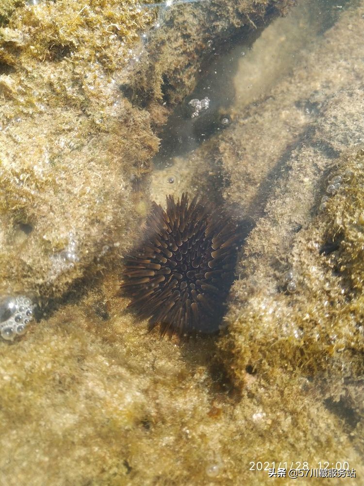 海南环岛骑行第6天,海南环岛七日大环线