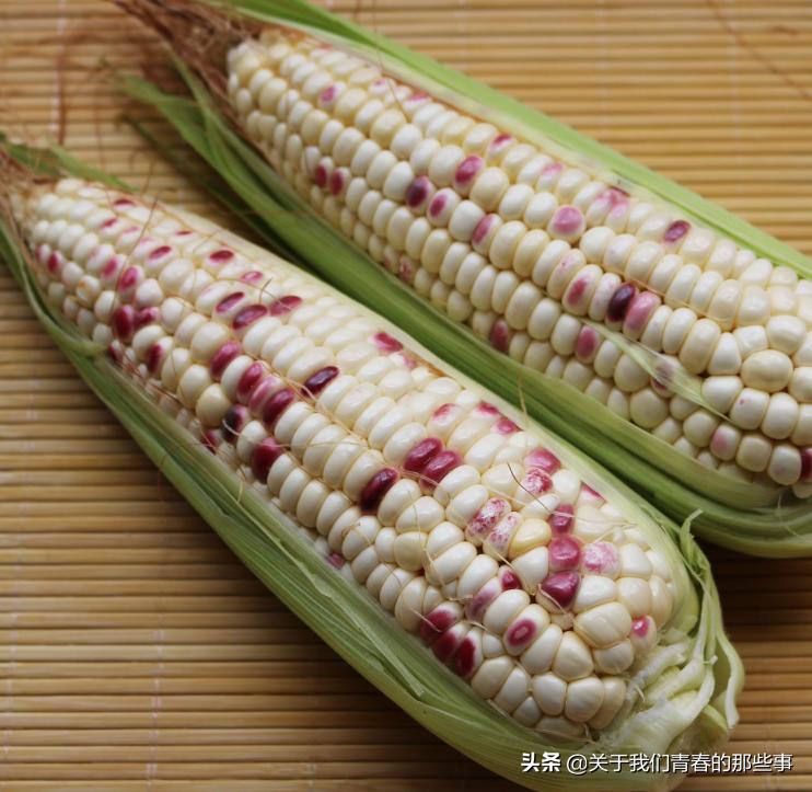 为什么玉米放了几天干瘪不甜了,如何避免玉米蒸熟变干瘪