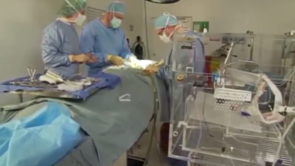 一对亚洲科学家夫妻，冷冻2岁女儿的大脑：希望未来还能见她一面