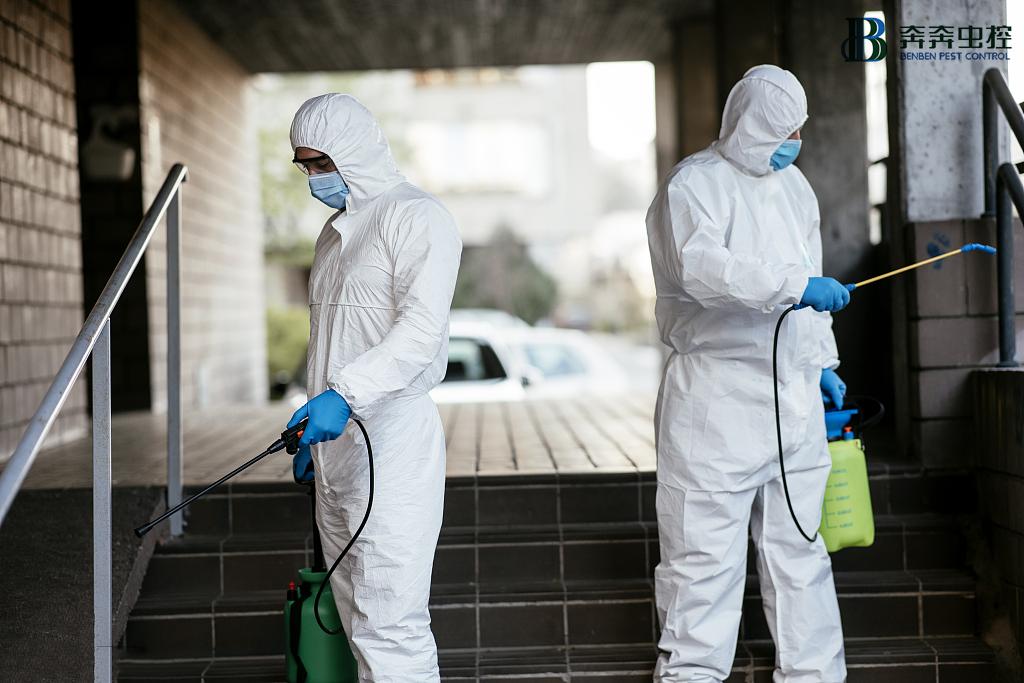 专业灭跳蚤公司,上门灭跳蚤能一次性消灭么