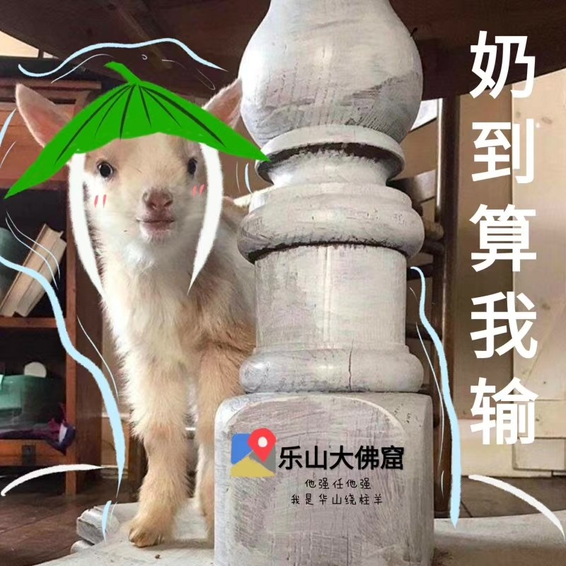 为什么要违背祖训?剑三奶花交星楼奶队友,却被嫌弃怎么被抓死了