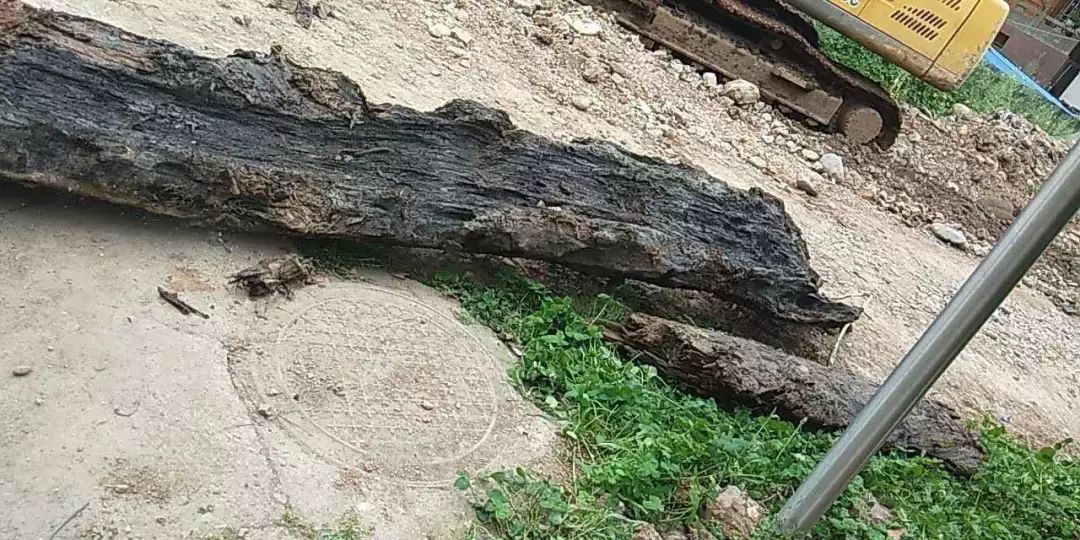 芦山挖出金丝楠乌木,成都挖出的乌木