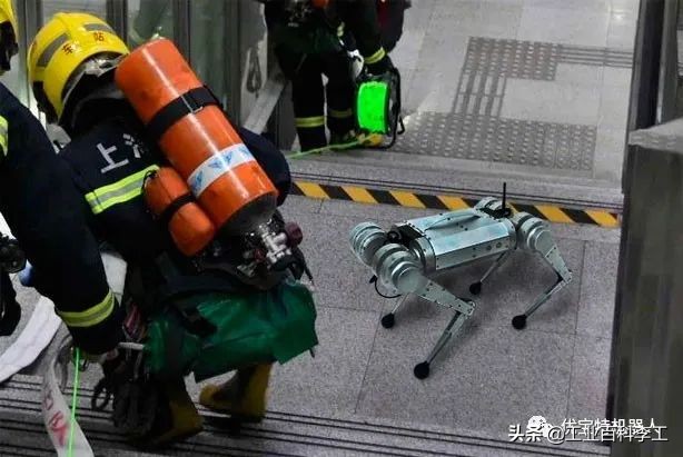 1万8元秋田犬出售,最新一代机器狗