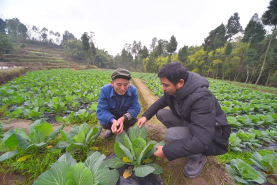 四川岳池：“共享大棚”拓宽农民致富渠道
