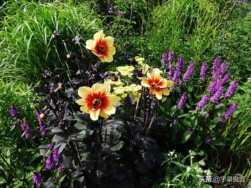 心情语录人生感悟句子短句,心情语录人生感悟简短语句