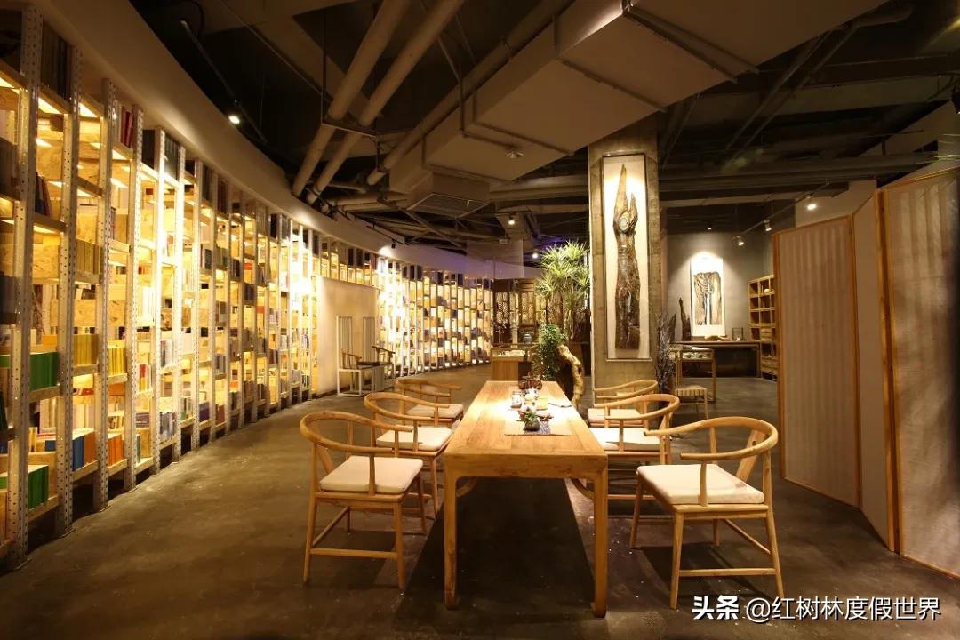 逃离北方的寒冷,逃离北方森林