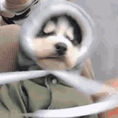 这家店的设计,太上头了!「杰视帮」