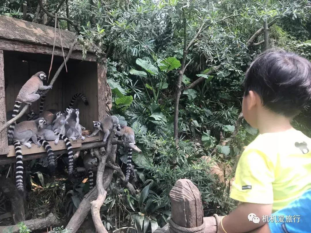 珠海长隆和广州长隆旅行攻略,珠海长隆和广州长隆旅游攻略区别