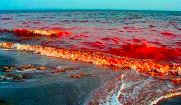 这种贝比眼镜蛇毒强80倍,海员食用后中毒身亡,为何还常被人吃