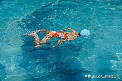 初学者如何学好蛙泳的技巧,抬头蛙泳如何快速入门