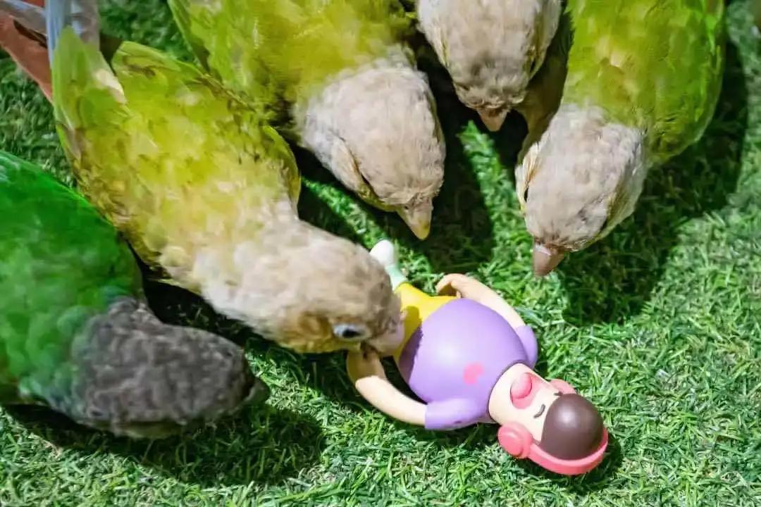 雨天如何玩西海岸,前往西海岸攻略路线