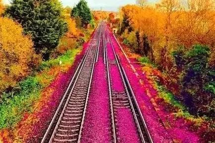 诗词协会会长一般由什么人担任,当会长的具体要求