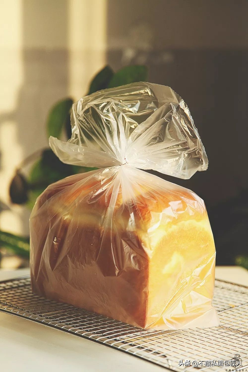 面包表皮起皱的原因,面包出炉后塌陷变皱是什么原因
