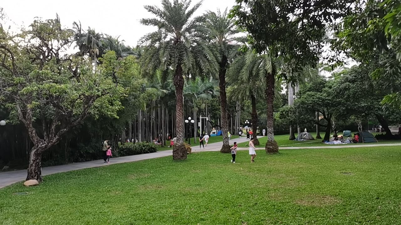 荔枝公园深圳,深圳第一公园荔枝公园