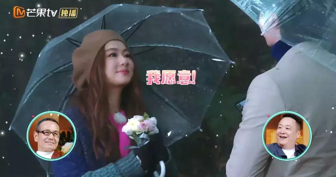 内地相亲恋爱综艺节目,相亲恋爱的综艺