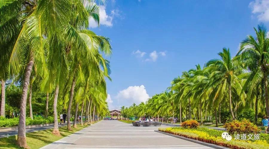 农业种植如何设计项目融资,个人投资农业项目怎么起步