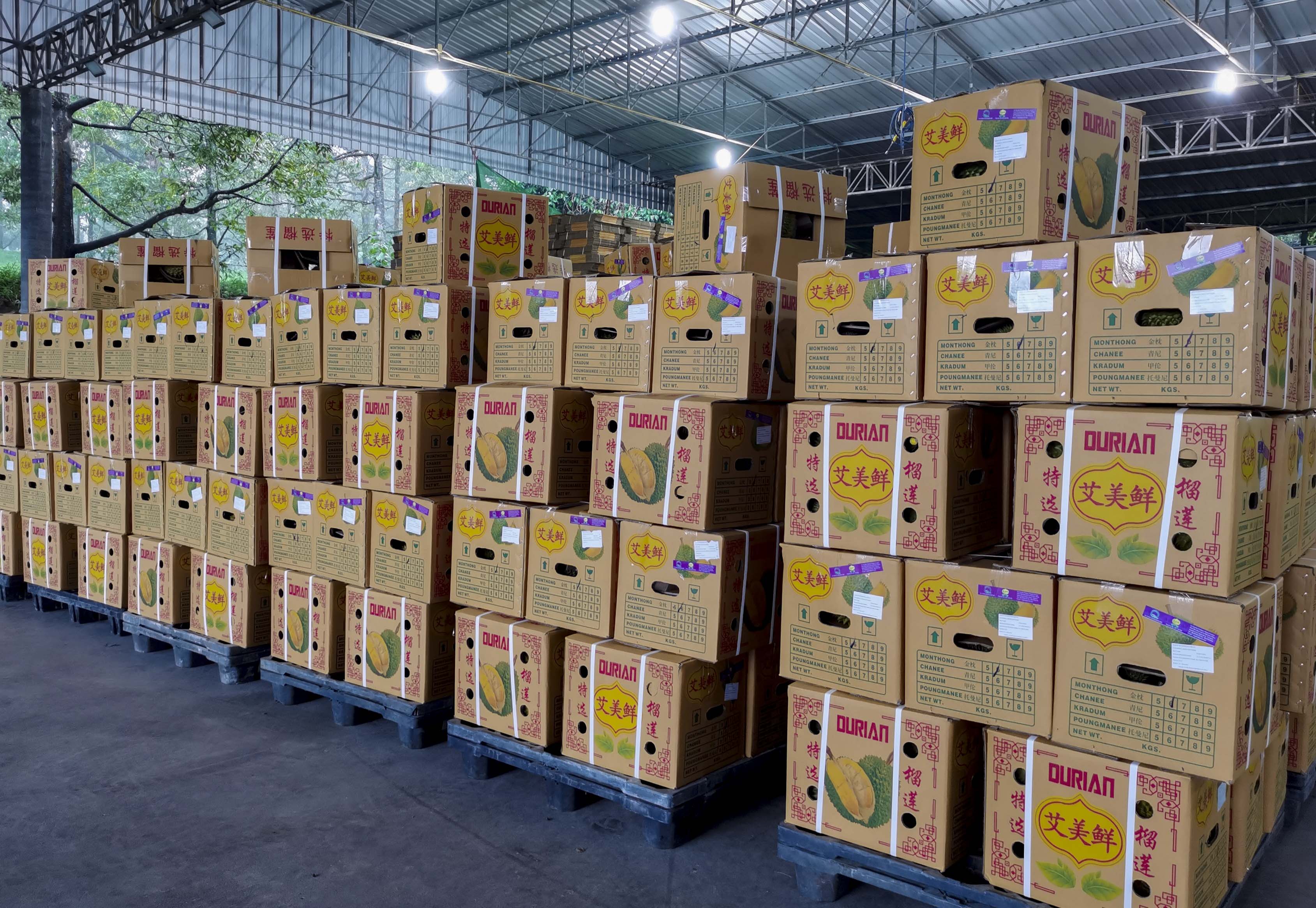 泰国榴莲金枕甜甜的,泰国金枕榴莲泰美味什么价格