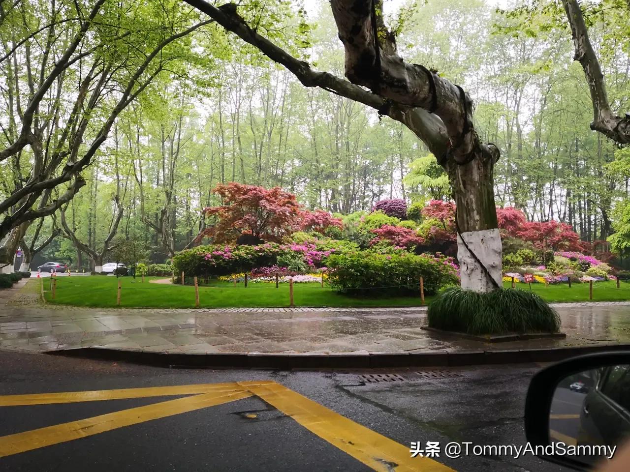 到底杭州好在哪里？