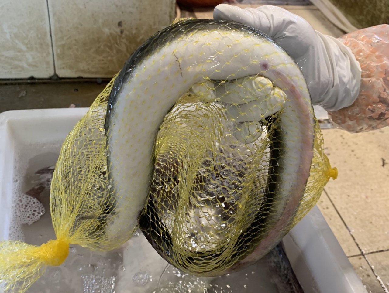 北海干货海鲜批发市场哪个便宜,北海菜市场买海鲜哪个最新鲜