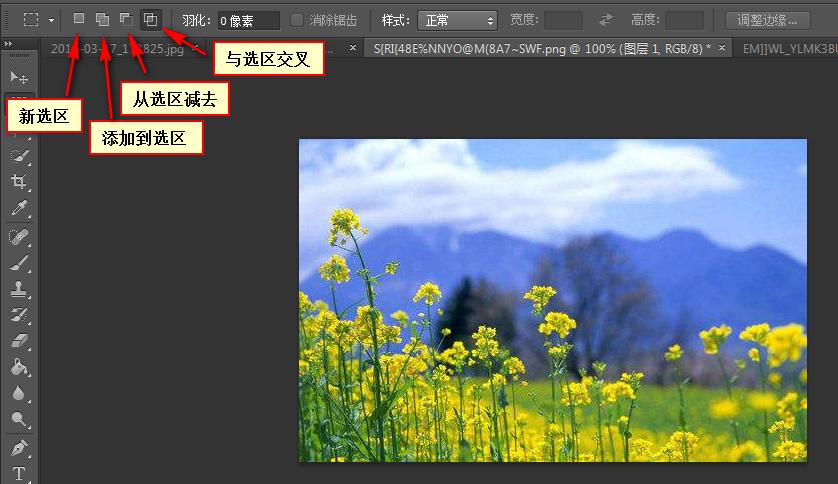 ps2019版矩形选框工具怎么填充颜色,ps选框入门基础知识