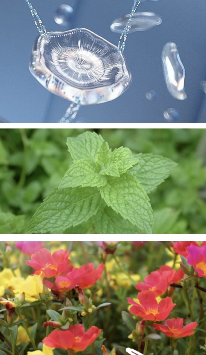 敏感肌夏季基础护肤指南：奇迹面膜72小时急救有奇效