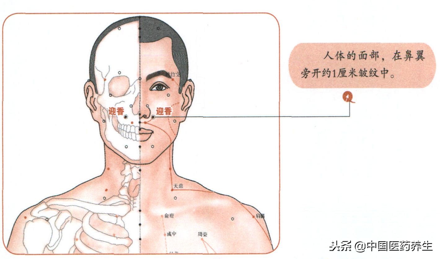 过敏性鼻炎揉按哪个穴最快,鼻炎的取穴和配穴