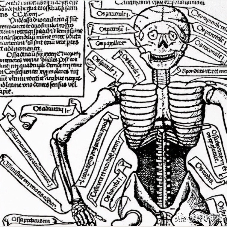 带你揭秘印度人骨*市黑**：骨头明码标价，祖宗们的尸身变成摇钱树