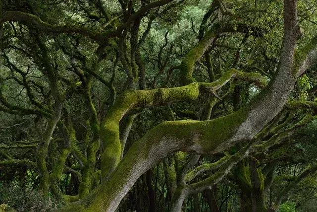 尼康的曝光锁定功能的调整方法,尼康长曝光怎么操作