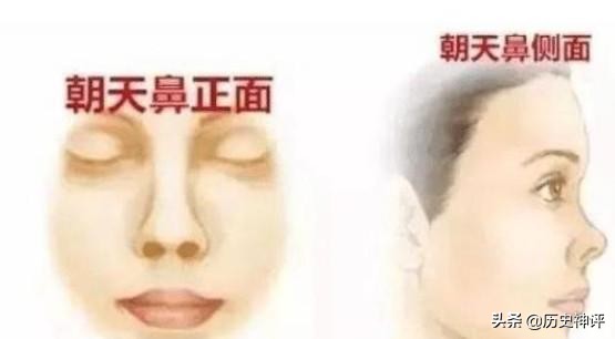 男怕招风耳女怕朝天鼻什么意思,男怕耳扇风女怕鼻露空是什么意思