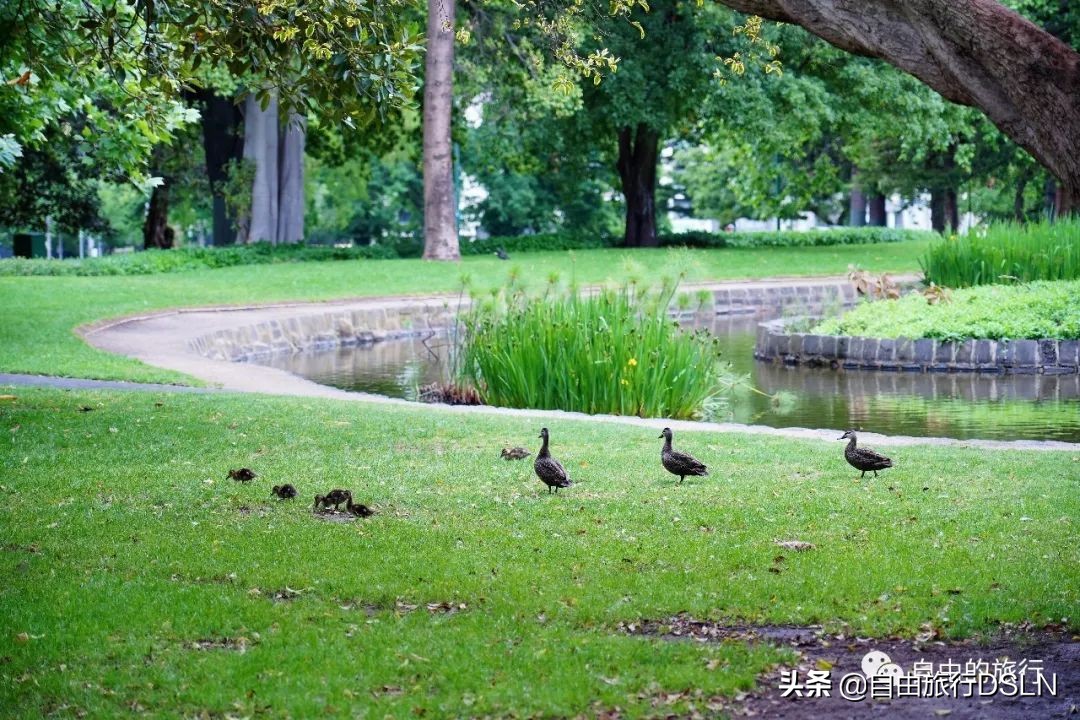 土澳,土澳新闻视频