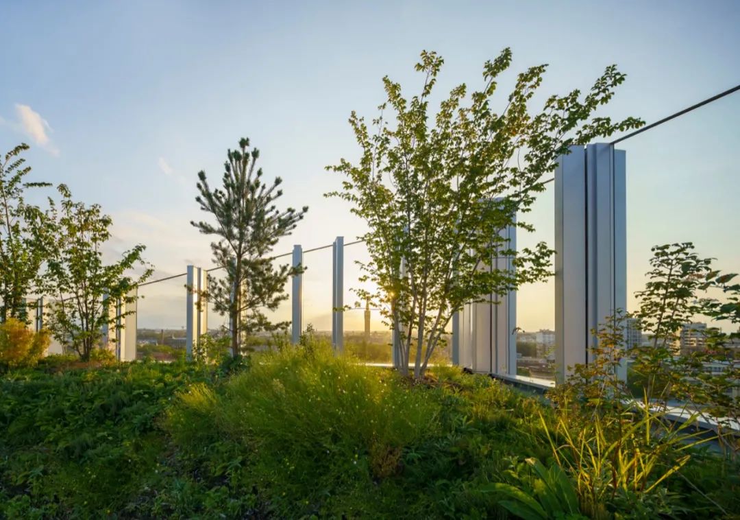 被绿植包围的大楼,被绿植围绕的空间