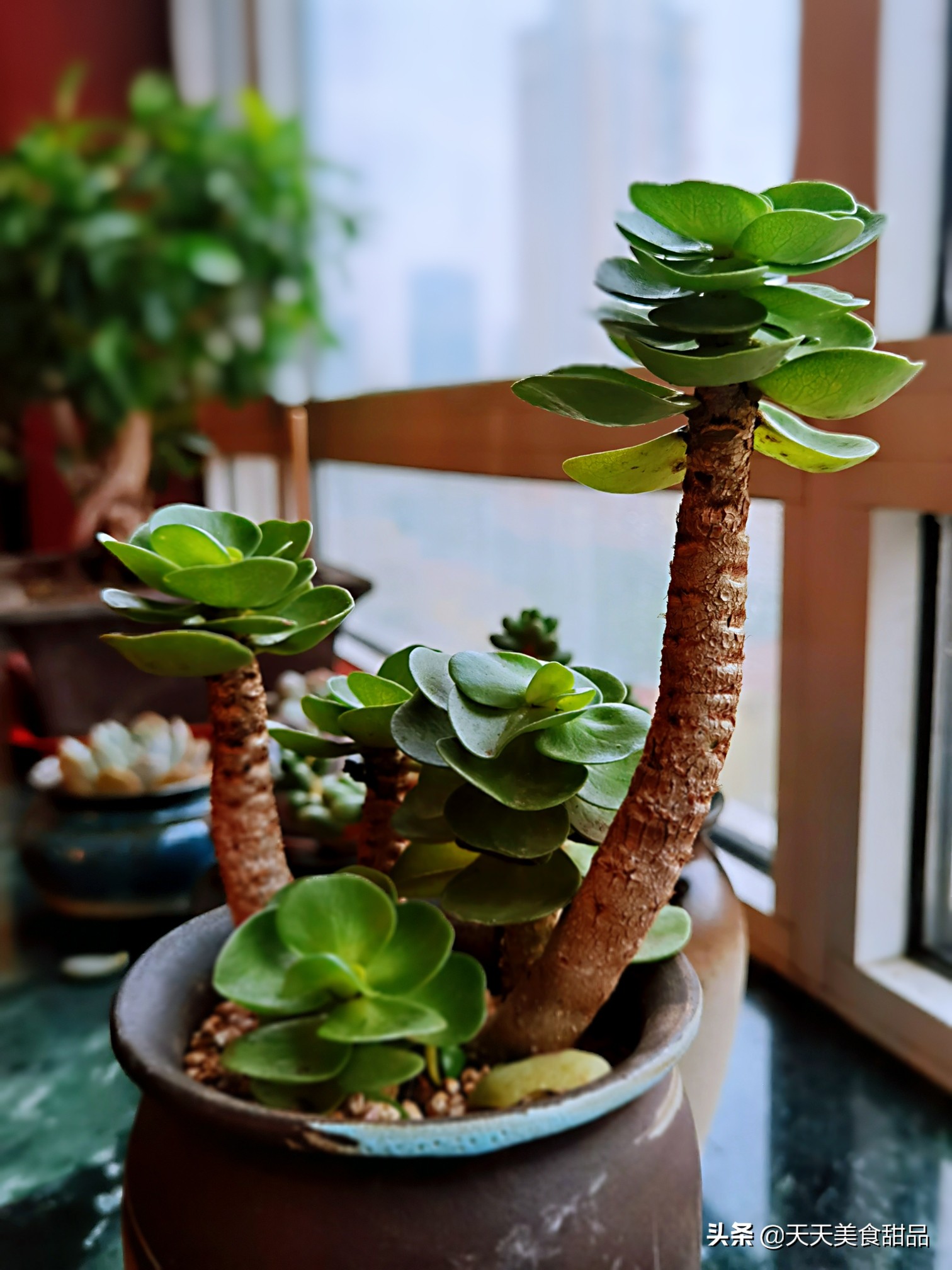 我在锦州的日子，这个周末女儿女婿又骑行