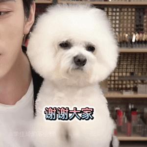 跟着李佳琦买买买，真的会翻车吗？