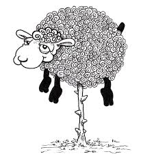 中世纪棉花,中世纪的欧洲棉花