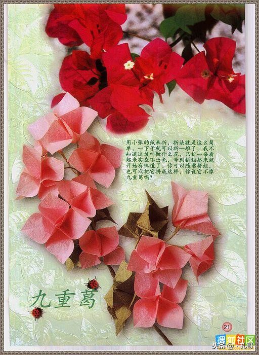 折纸大全方便又漂亮又实用,精致实用的折纸大全步骤