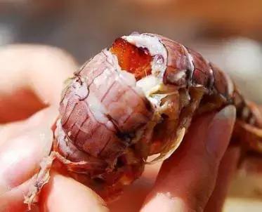 春天的威海处处是风景,威海的小海鲜