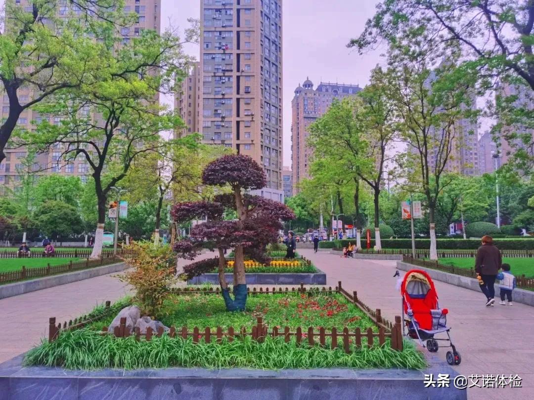 住在明光路的合肥人，太太太幸福了